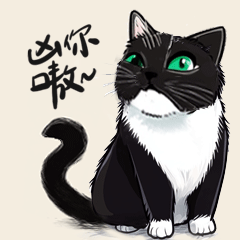 我的猫咪们的表情包