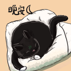 我的猫咪们的表情包