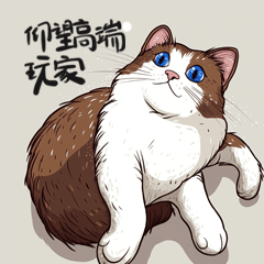 我的猫咪们的表情包