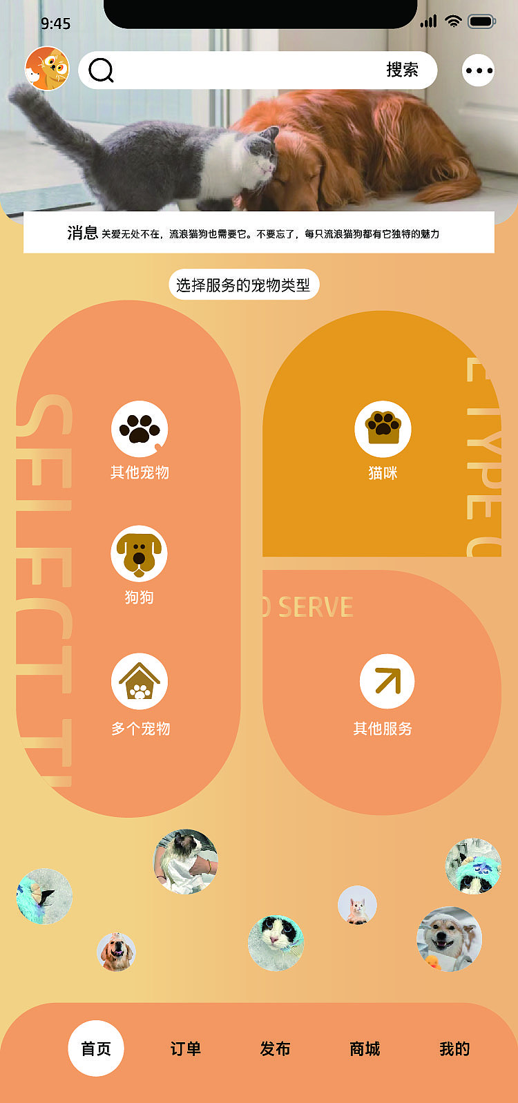 三折页和app设计