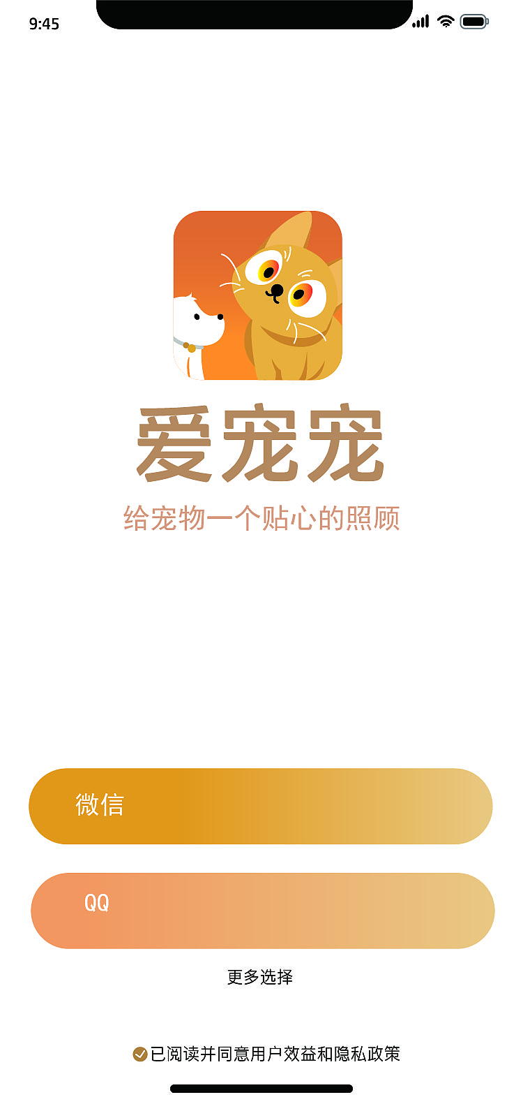 三折页和app设计