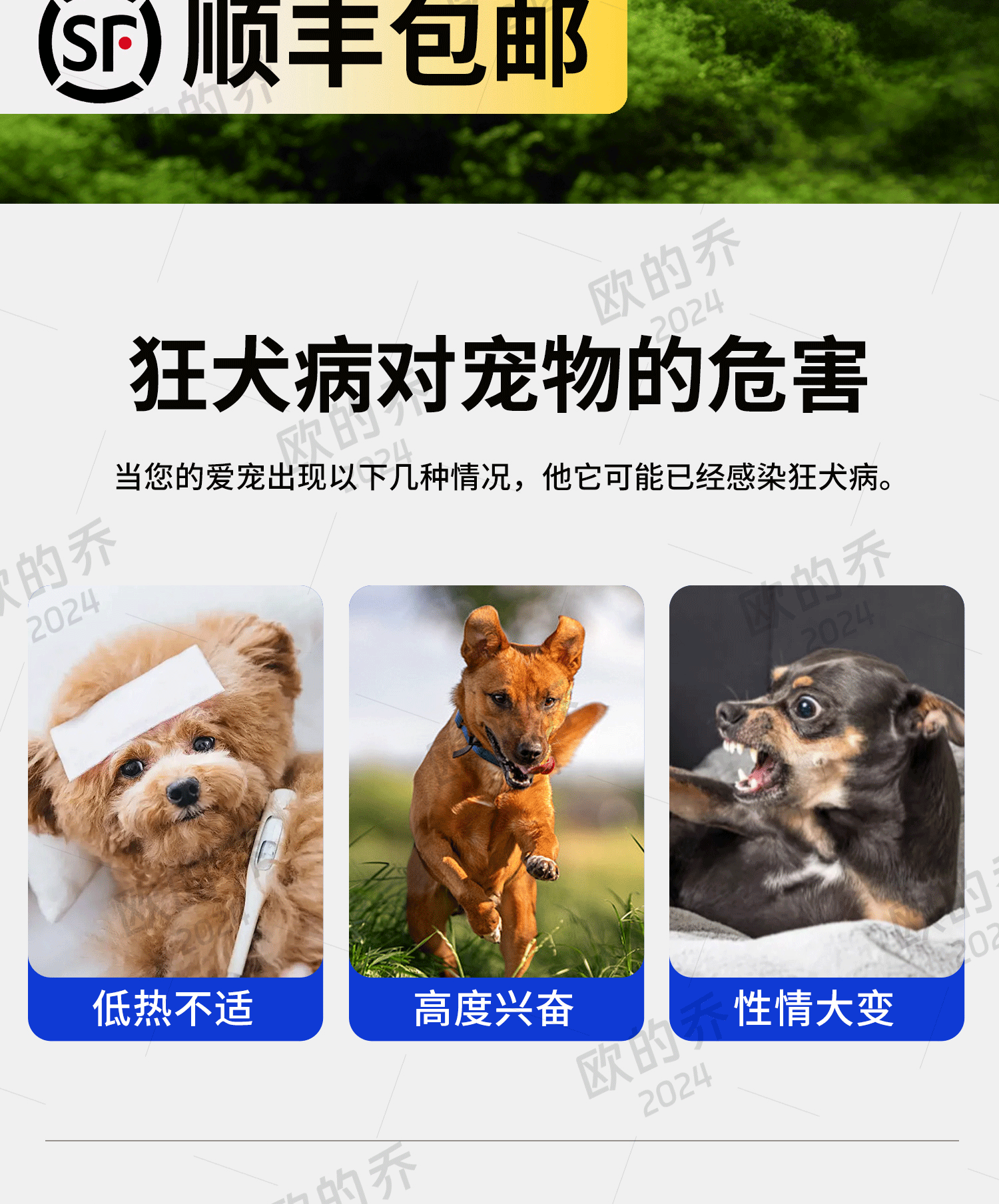 宠物试纸 详情页制作