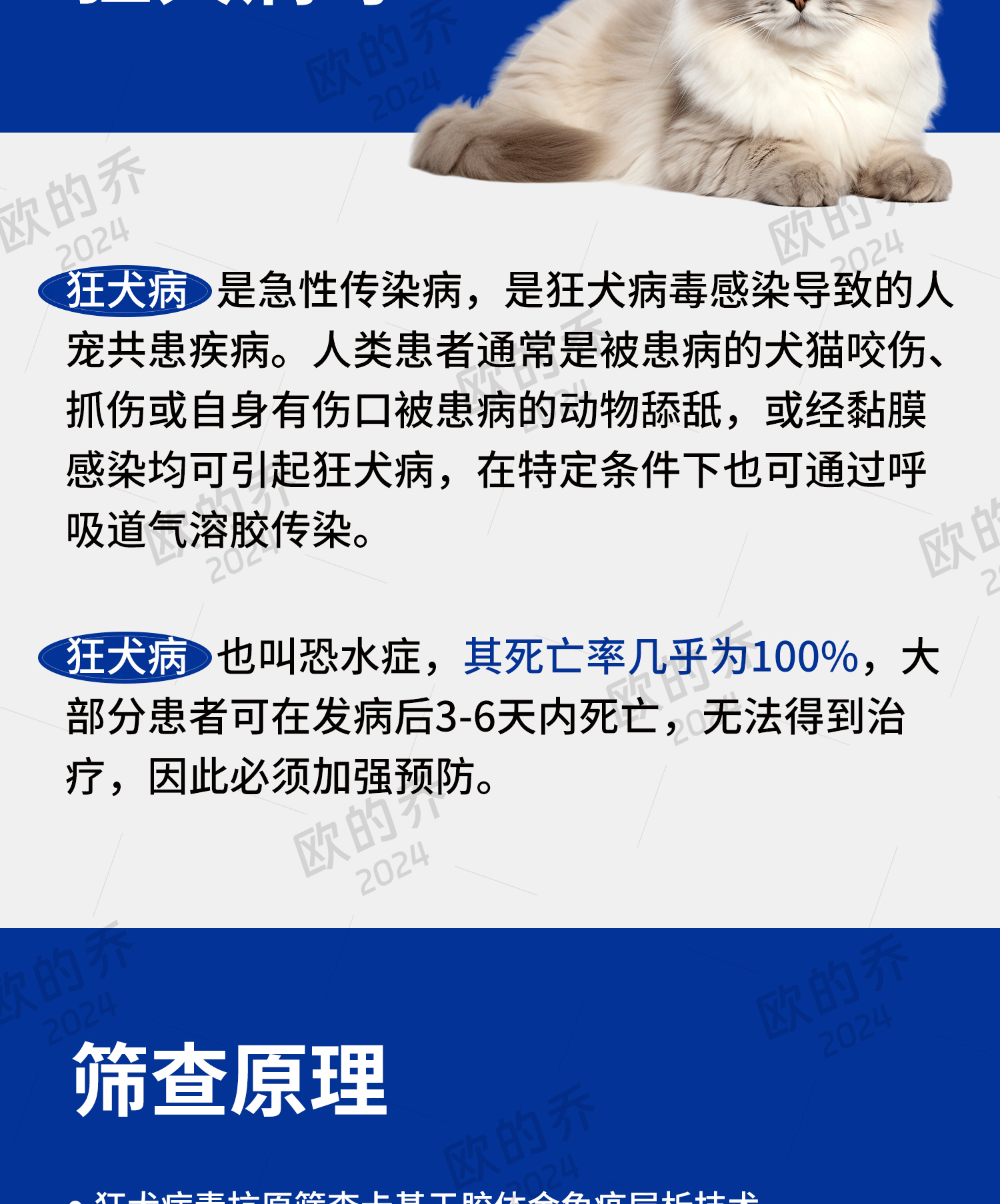 宠物试纸 详情页制作