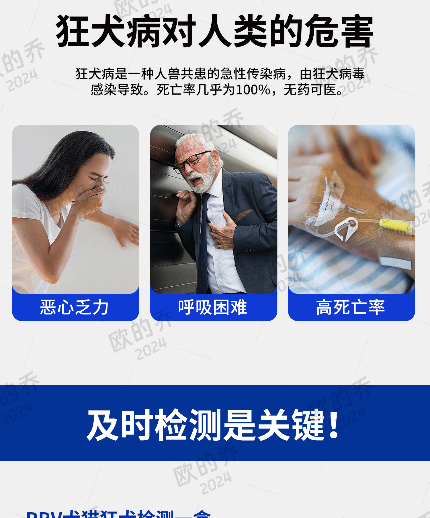 宠物试纸 详情页制作