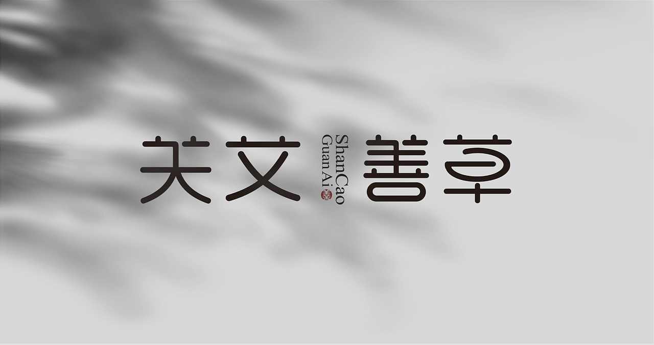 荣泽策划原创《关艾善草》品牌logo作品