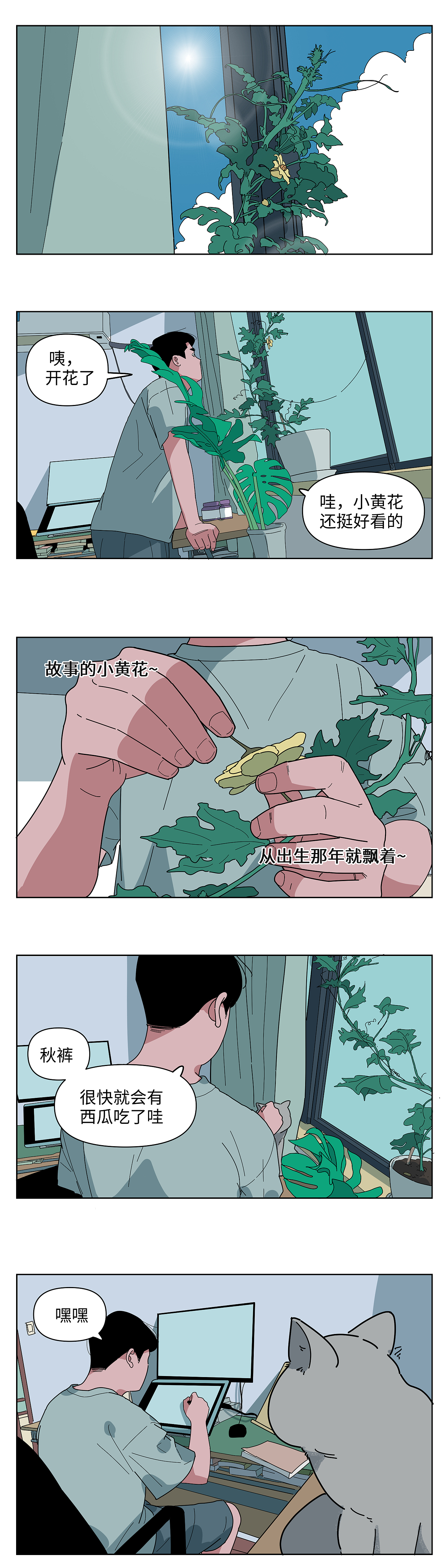 我在阳台种西瓜（图ZMzc5NDExODg0） - 短篇/格漫 - 站酷设计师八卦猫人原创素材 - 站酷ZCOOL