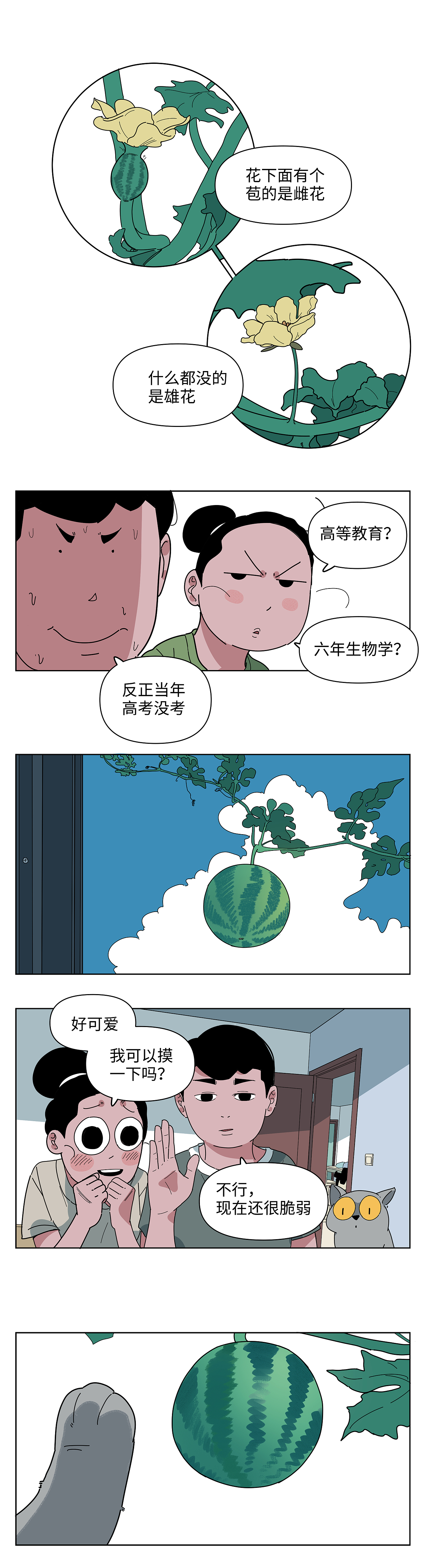 我在阳台种西瓜（图ZMzc5NDExODky） - 短篇/格漫 - 站酷设计师八卦猫人原创素材 - 站酷ZCOOL