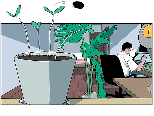 我在阳台种西瓜