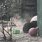 李泽华呐的头像