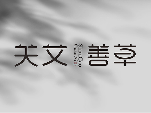 荣泽策划原创《关艾善草》品牌logo作品