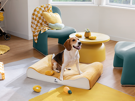 FUNNYFUZZY宠物用品