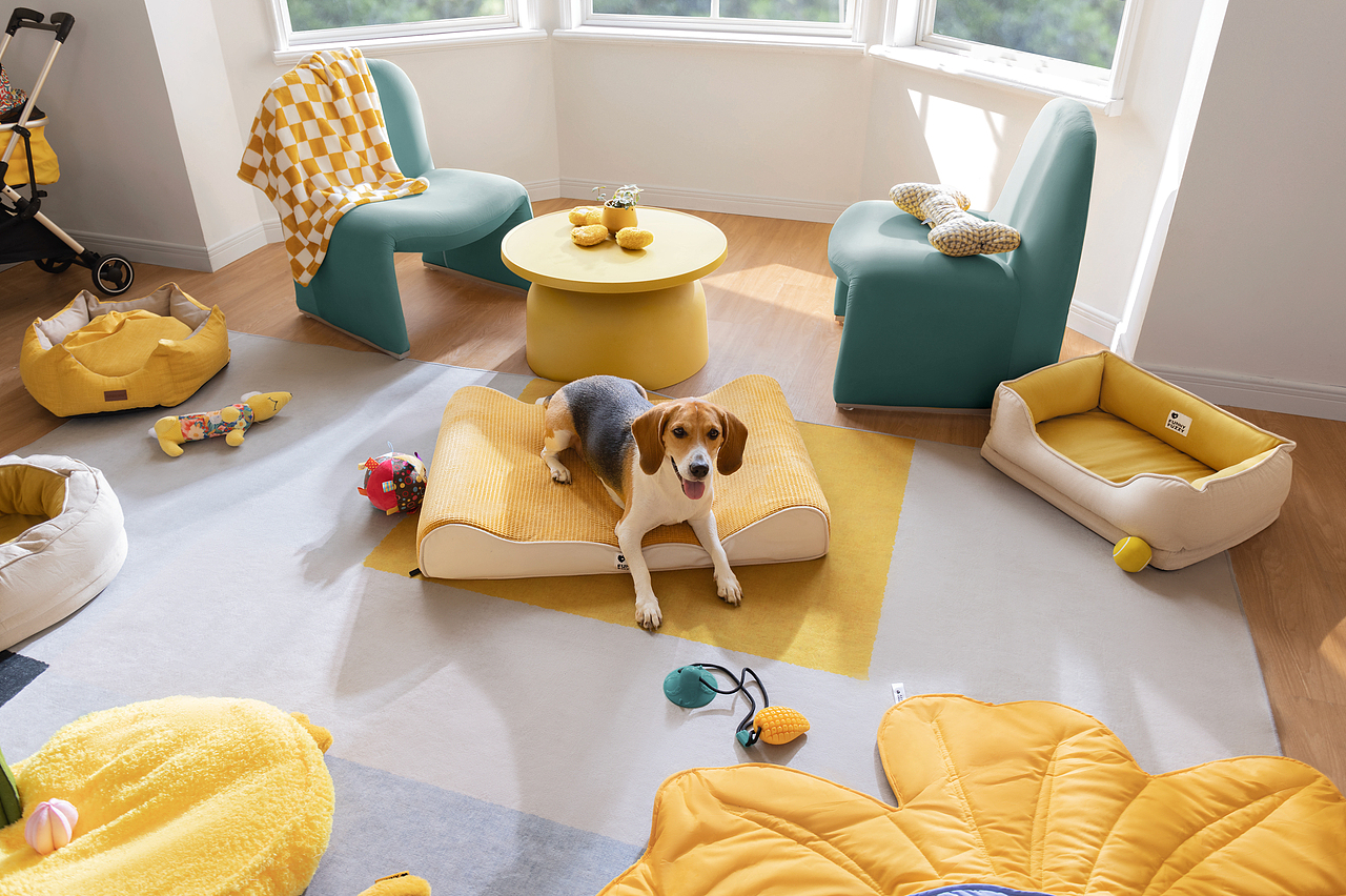 FUNNYFUZZY宠物用品