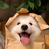 杭州外卖员阿龙的头像