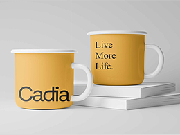 Cadia 别墅项目品牌应用系统