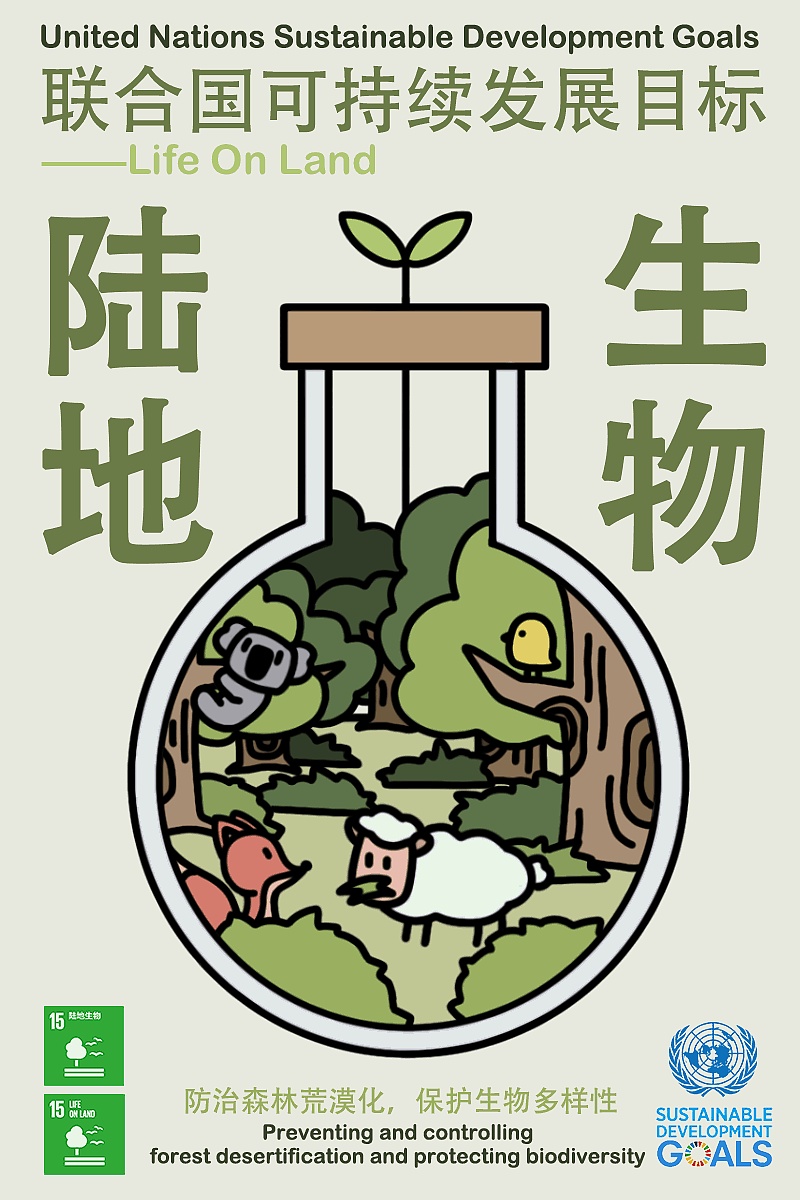 动态海报及动画