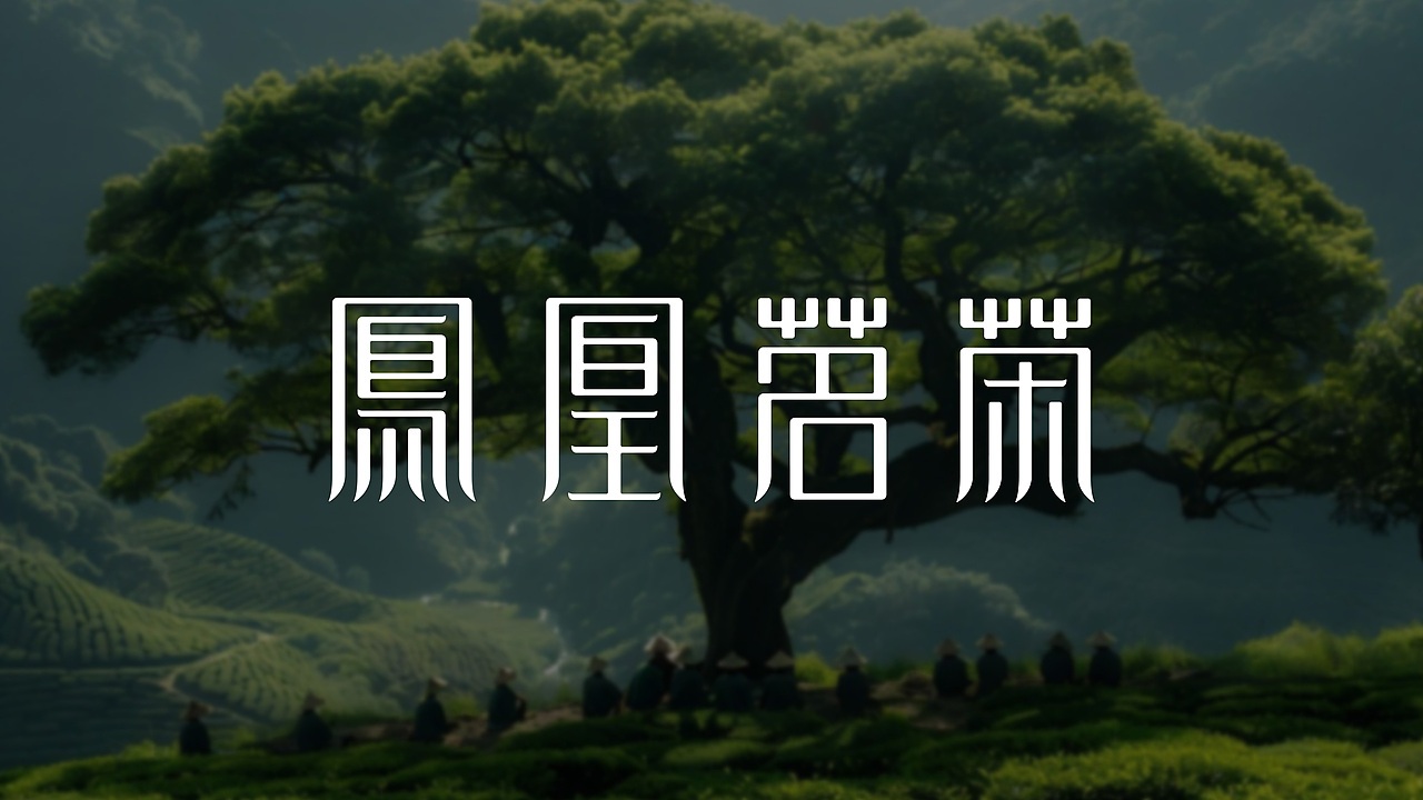 字体结构与创意(二十四)