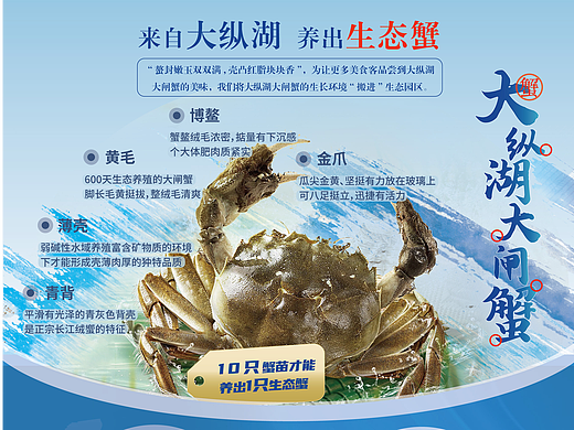 大闸蟹海报