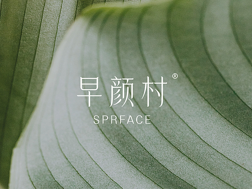 国货护肤品牌logo设计：早颜村sprface