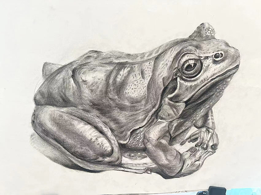 蛤?。▊€(gè)人主頁-ZNzA2NTQ5NDA=） - 繪畫 - 站酷設(shè)計(jì)師Z583930258原創(chuàng)素材 - 站酷ZCOOL