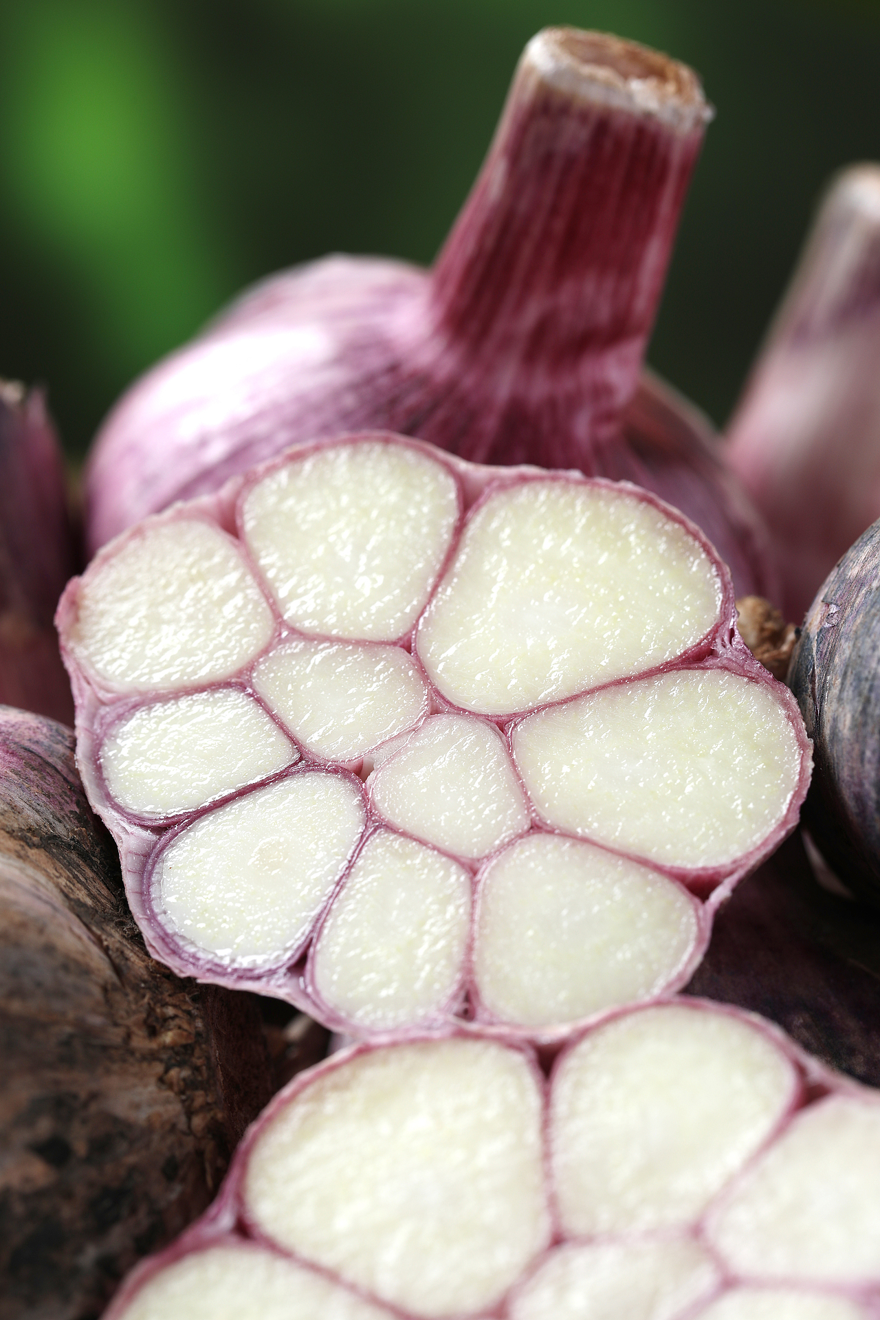 紫皮大蒜（图ZMzc5NTE5OTEy） - 产品摄影 - 站酷设计师头顶小野牛原创素材 - 站酷ZCOOL