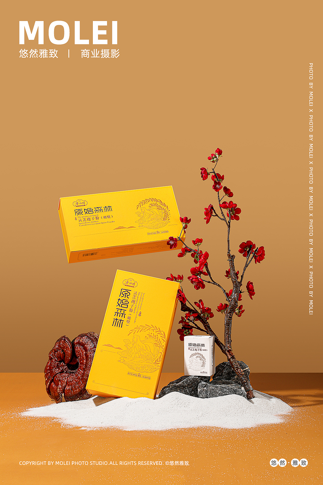 济佰川|灵芝孢子粉|原始森林|新年礼盒|保健品|默雷（图ZMzc5NTI2MzY4） - 产品摄影 - 站酷设计师默雷Molei原创素材 - 站酷ZCOOL