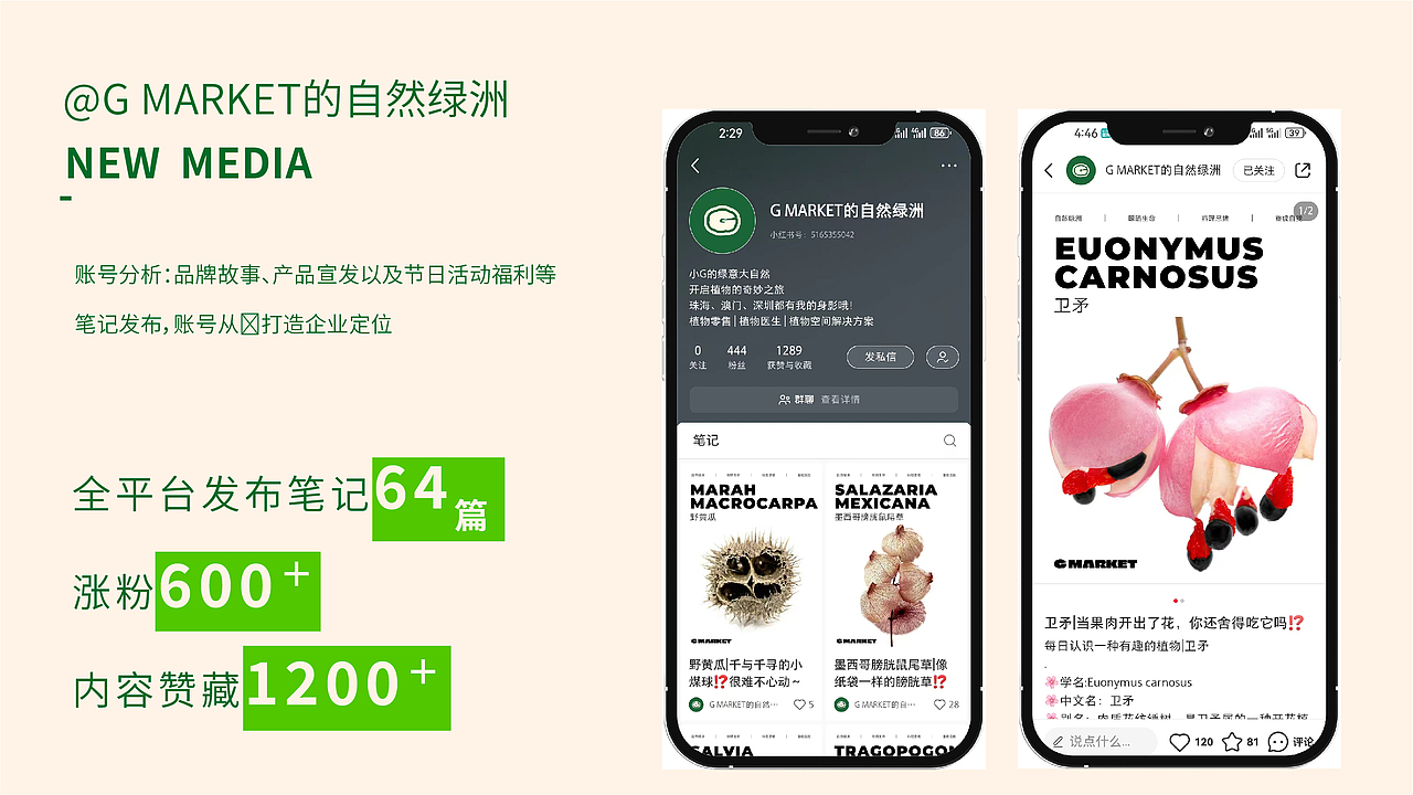 品牌文案策划作品集