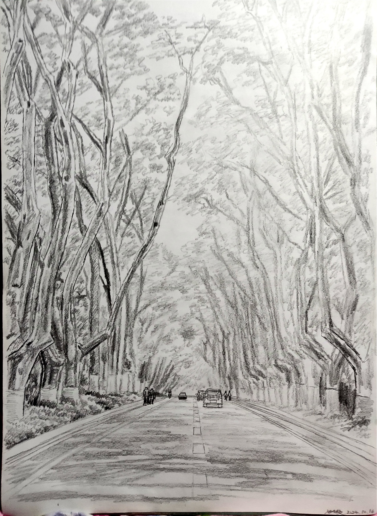 A3手绘|秋日南京梧桐大道的景色②