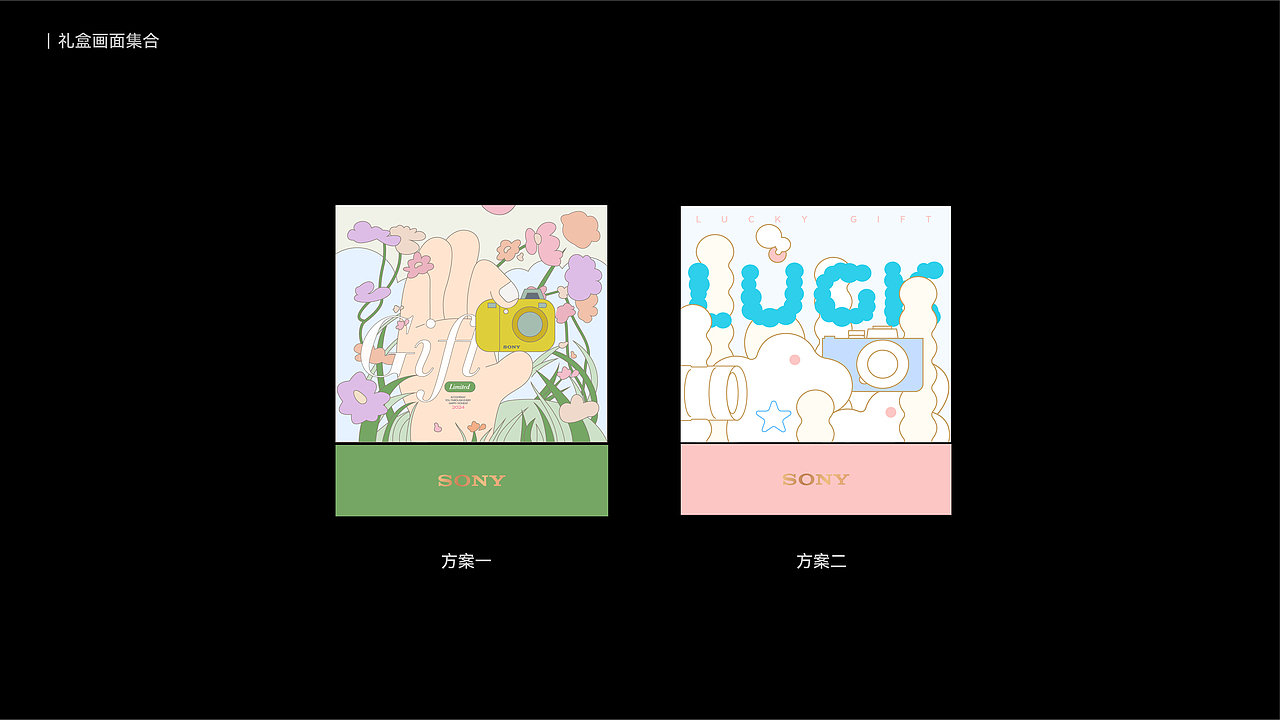 索尼 ╳ 盒胜盒 | 礼赠礼盒包装设计