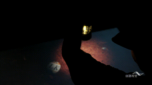 今日的挖掘区域编号H-SR526,已发现部分器物裸露地表