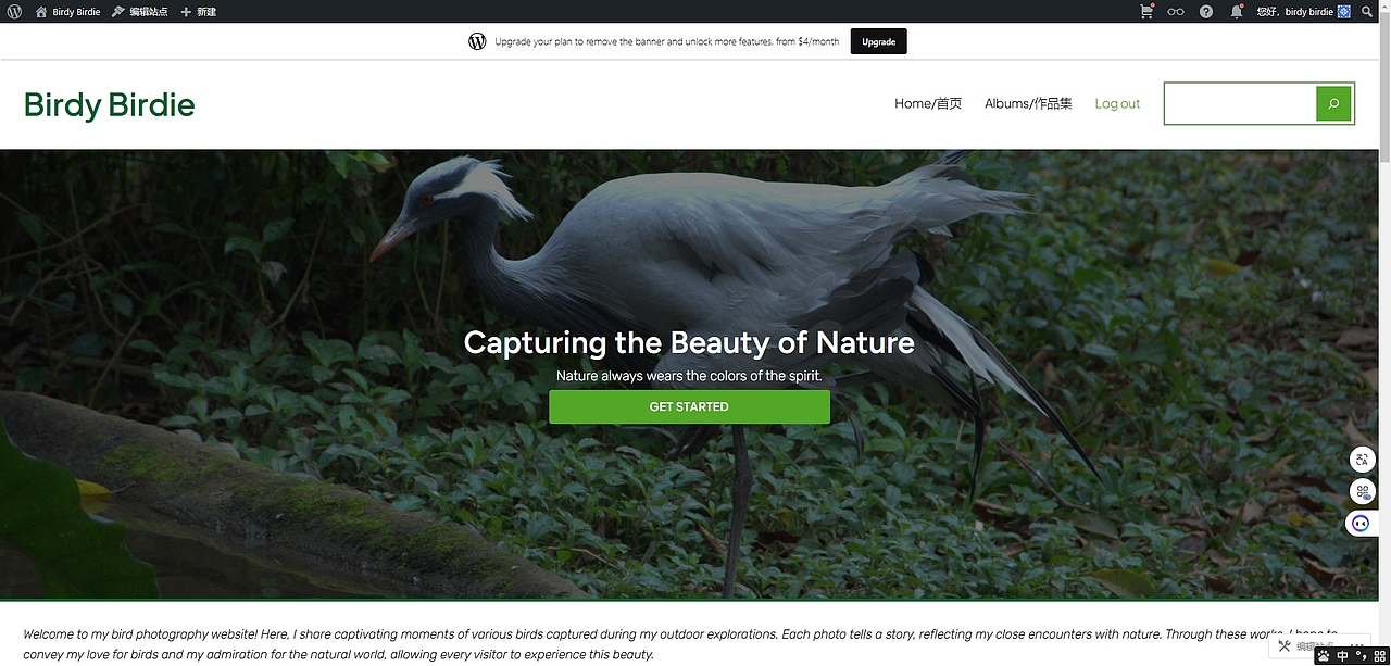 鸟类摄影网站（图ZMzc5NTU3Mzc2） - 个人网站 - 站酷设计师ChoiSx原创素材 - 站酷ZCOOL