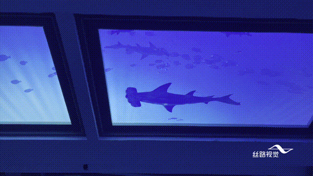 上班就是摸鱼(不是)