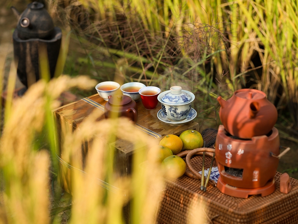 十月获稻,风趣野茶。