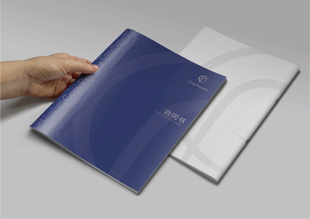 Cozypresent母婴品牌VI设计