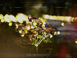 花灯夜色，月晒霓裳——朱泾篇