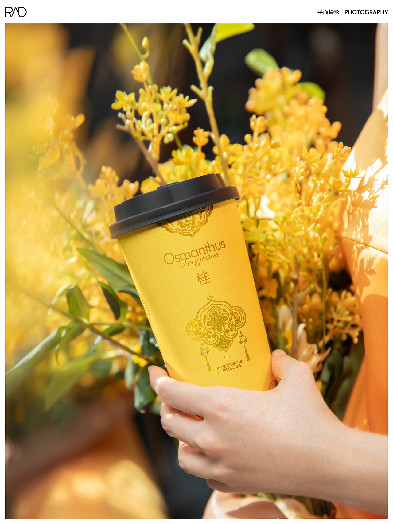 爷爷不泡茶｜我本金桂TVC