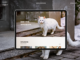 网页设计/B端图标