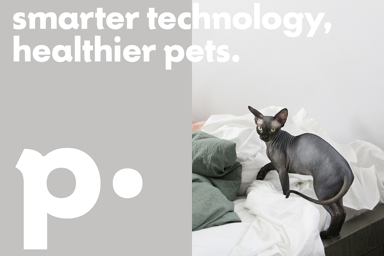 petnology宠物品牌设计