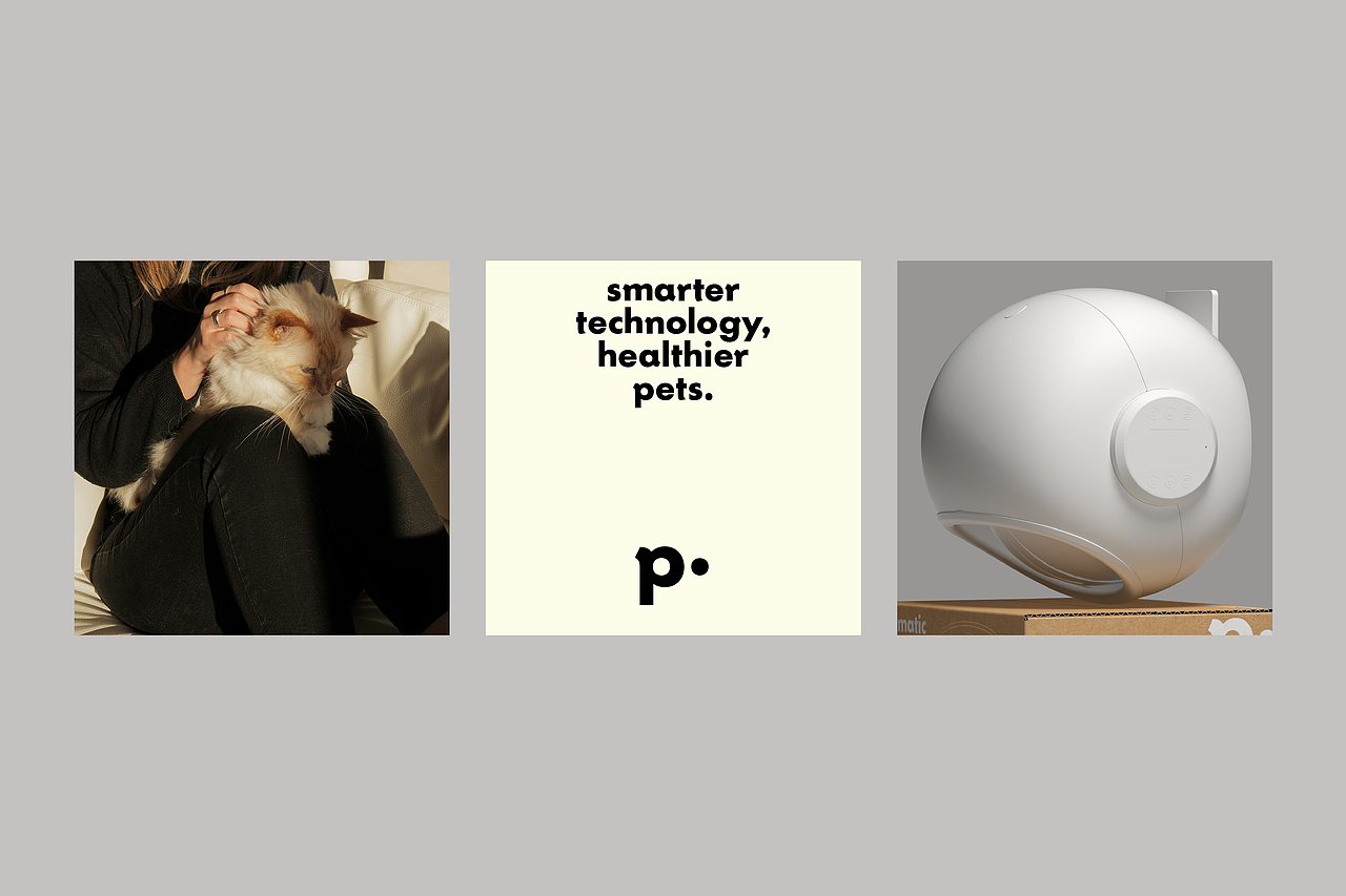 petnology宠物品牌设计