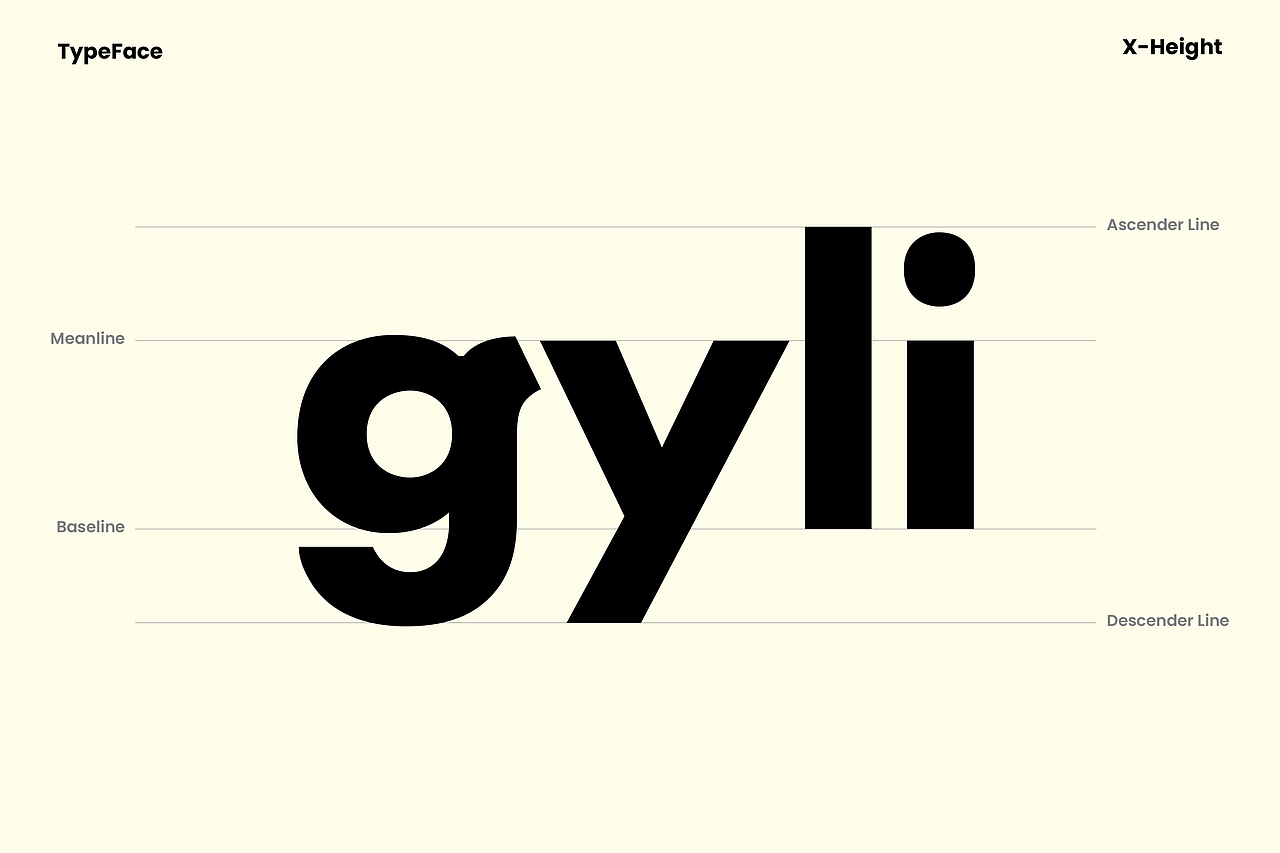 petnology宠物品牌设计