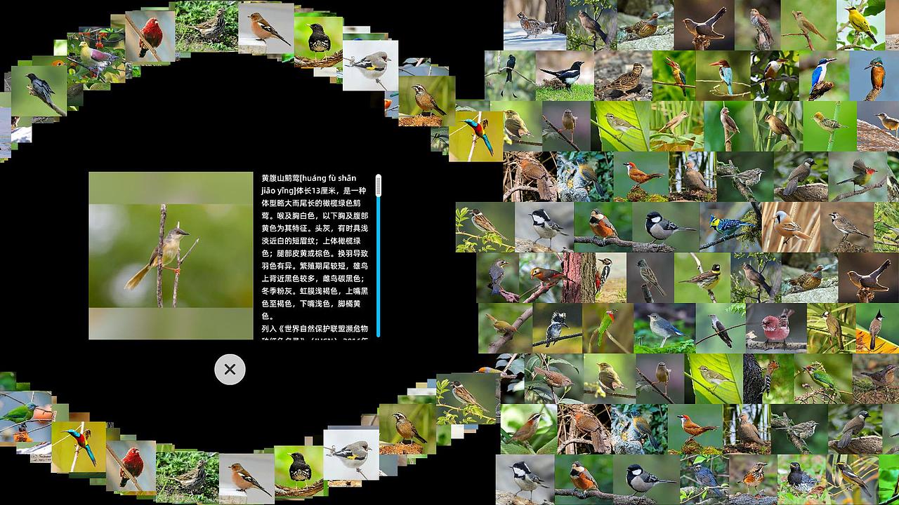 互动软件:多媒体互动展示墙软件(Windows)