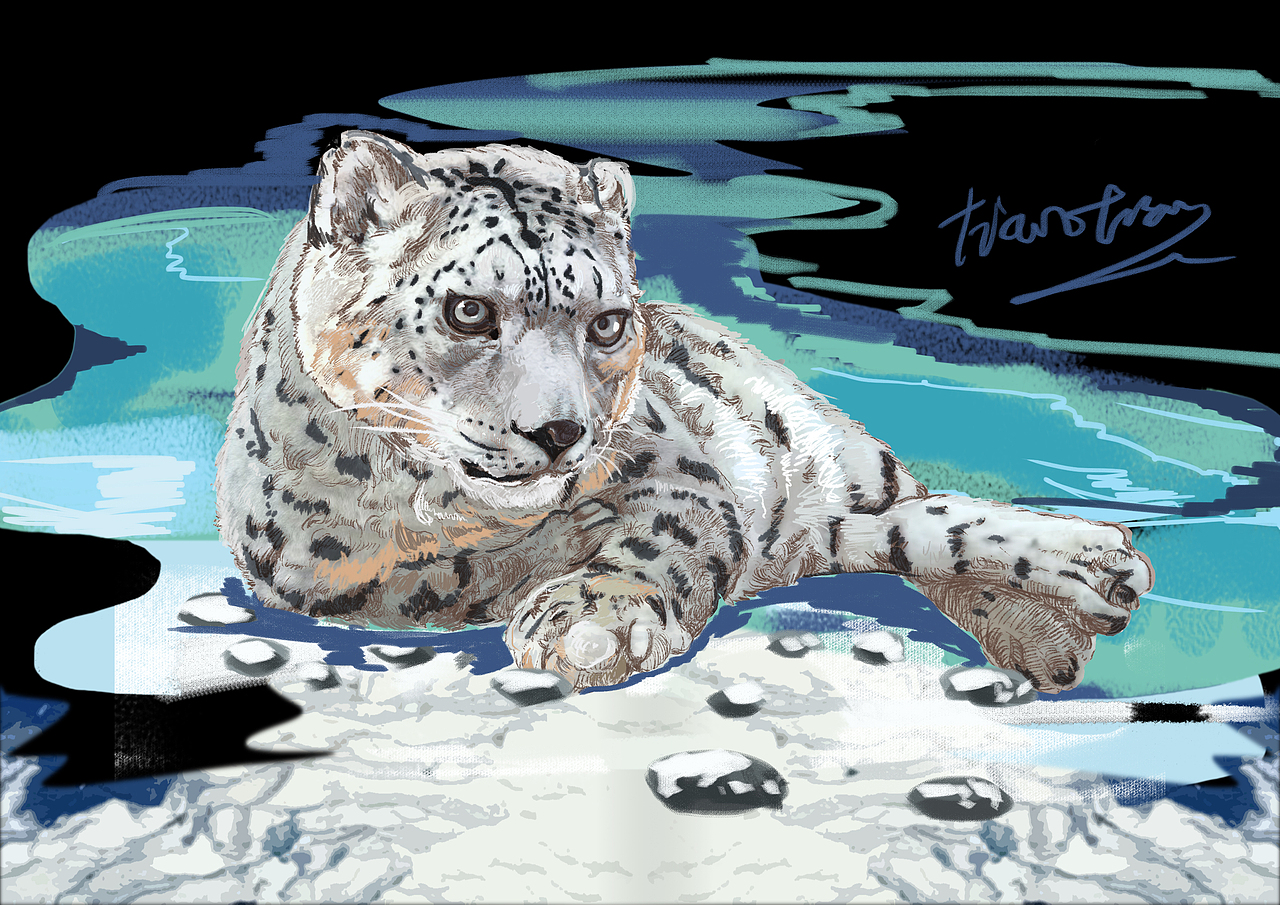 雪豹系列文创产品【你那里下雪了吗?】