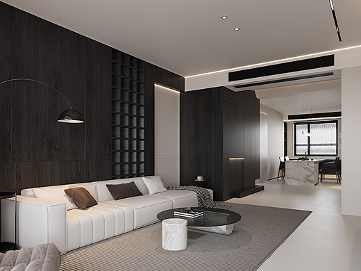 现代黑白灰案例