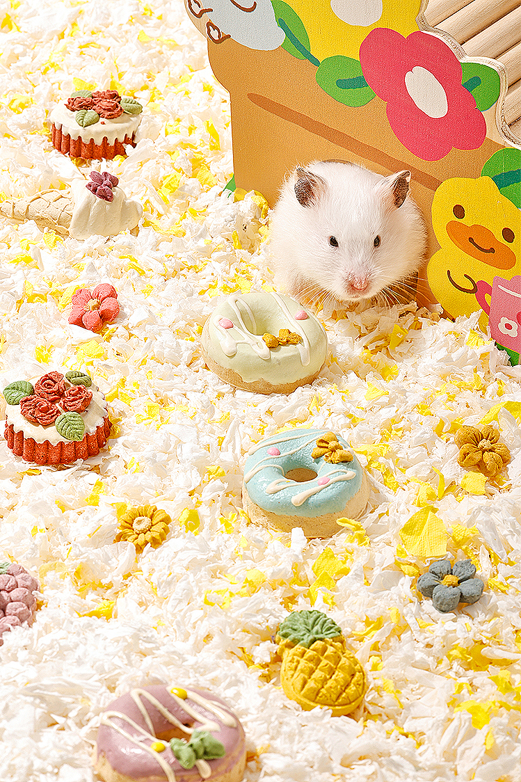 宠物产品摄影 | 磨牙零食合集详情页升级