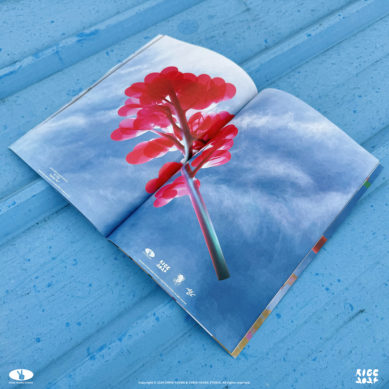 CHRIS YOUNG STUDIO AIGC 2024