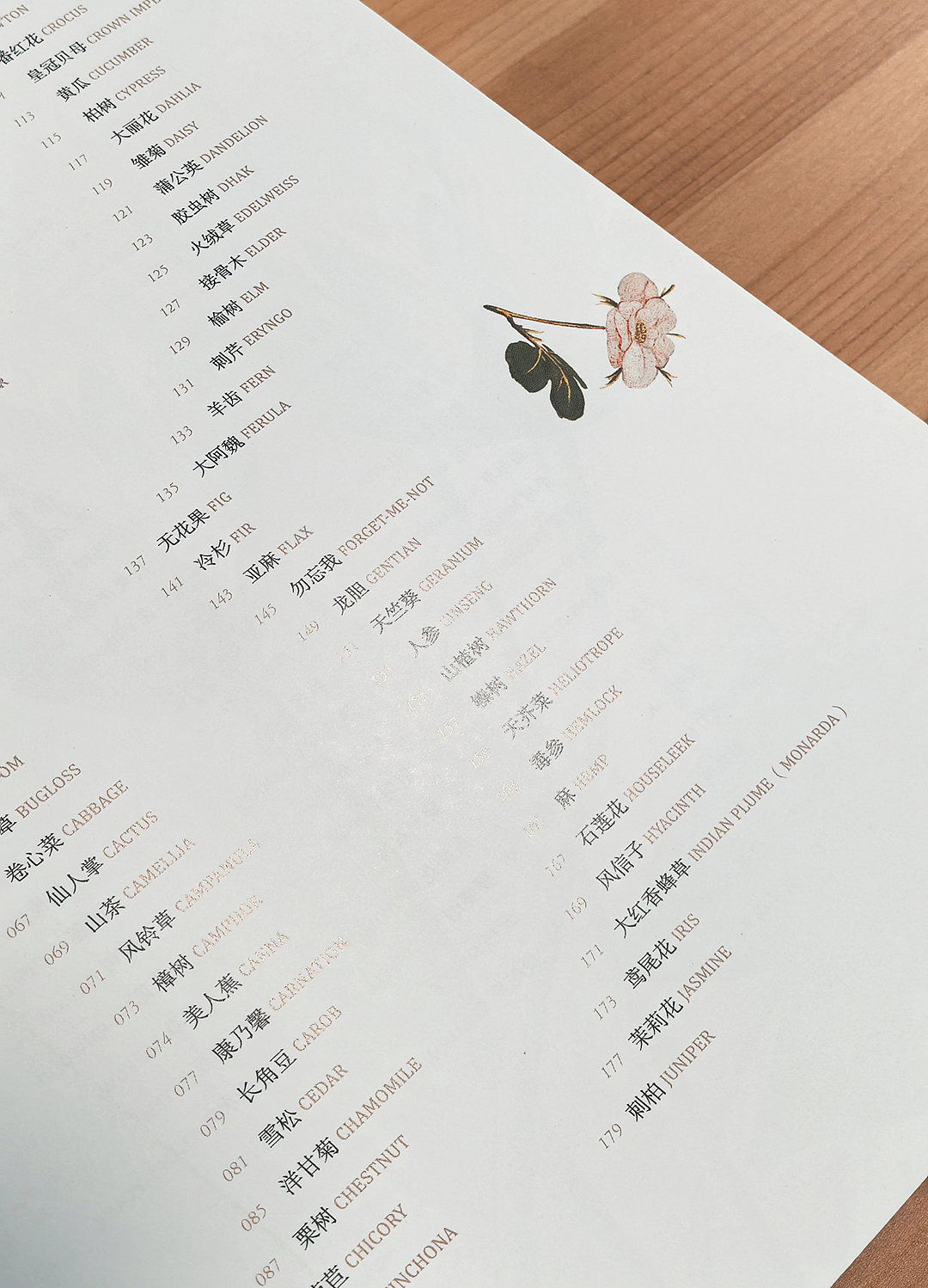 花果树的动人传说（图ZMzc5Njg4MTMy） - 书籍/画册 - 站酷设计师柒拾叁号原创素材 - 站酷ZCOOL