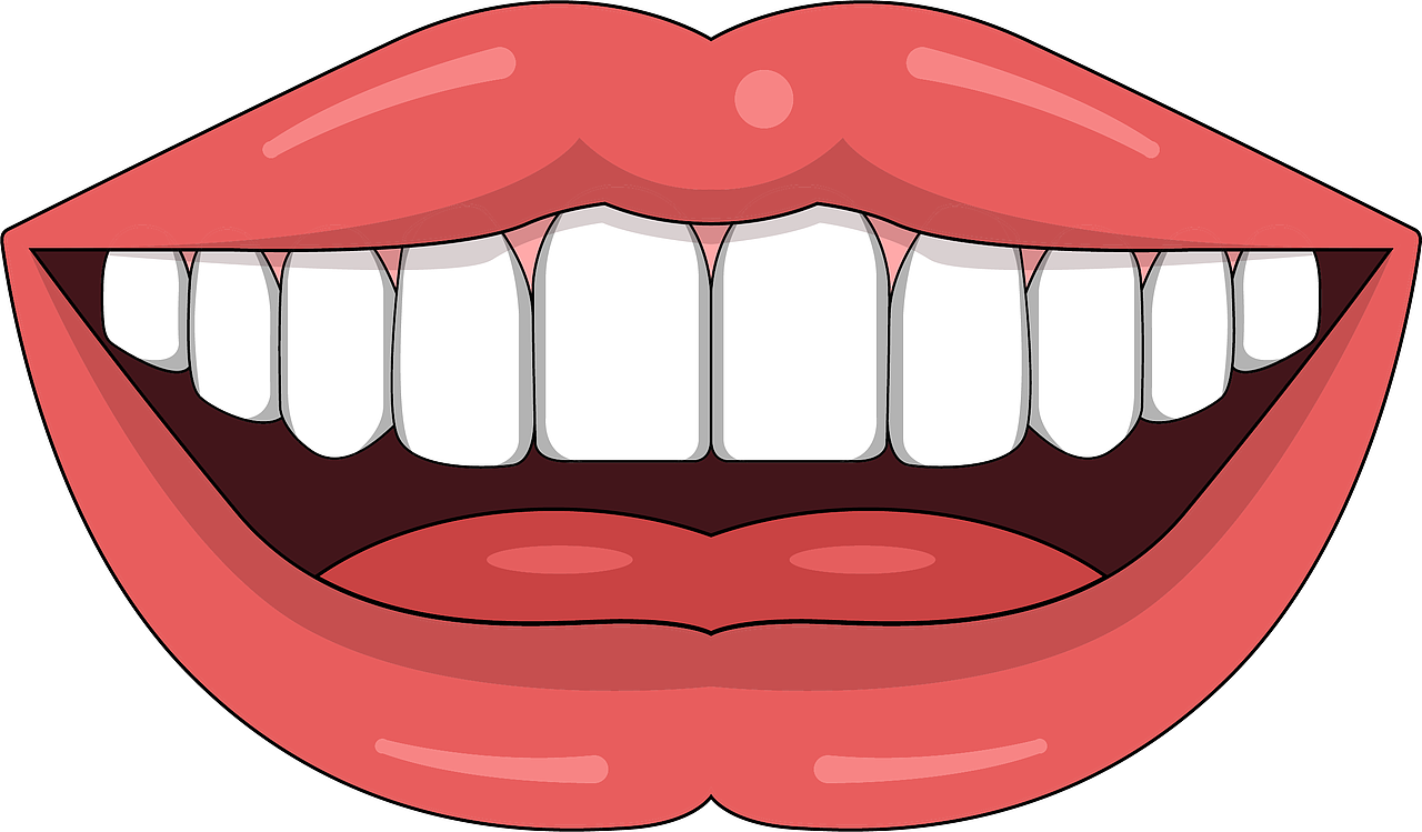 口腔 牙齿插画 种植牙 牙齿类型 牙齿缺失