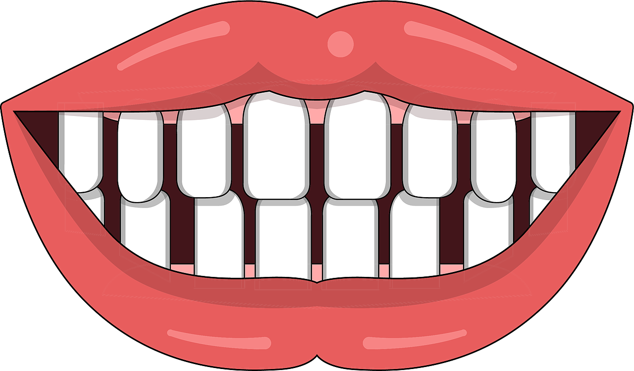 口腔 牙齿插画 种植牙 牙齿类型 牙齿缺失