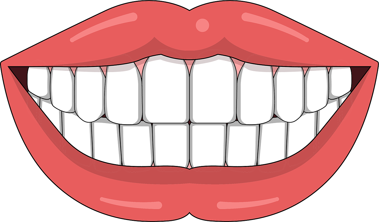 口腔 牙齿插画 种植牙 牙齿类型 牙齿缺失