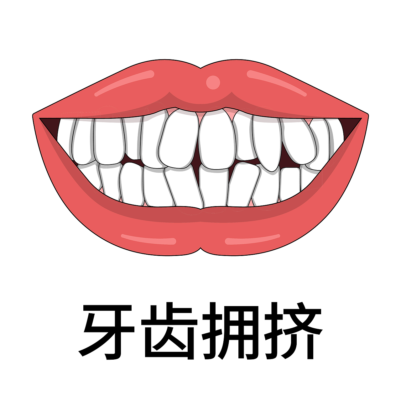 口腔 牙齿插画 牙齿矫正 牙齿正畸 牙齿类型