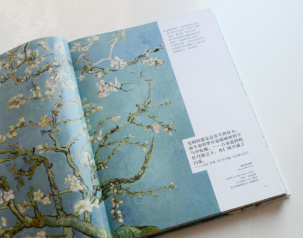 花果树的动人传说（图ZMzc5NzAzNDA0） - 书籍/画册 - 站酷设计师柒拾叁号原创素材 - 站酷ZCOOL